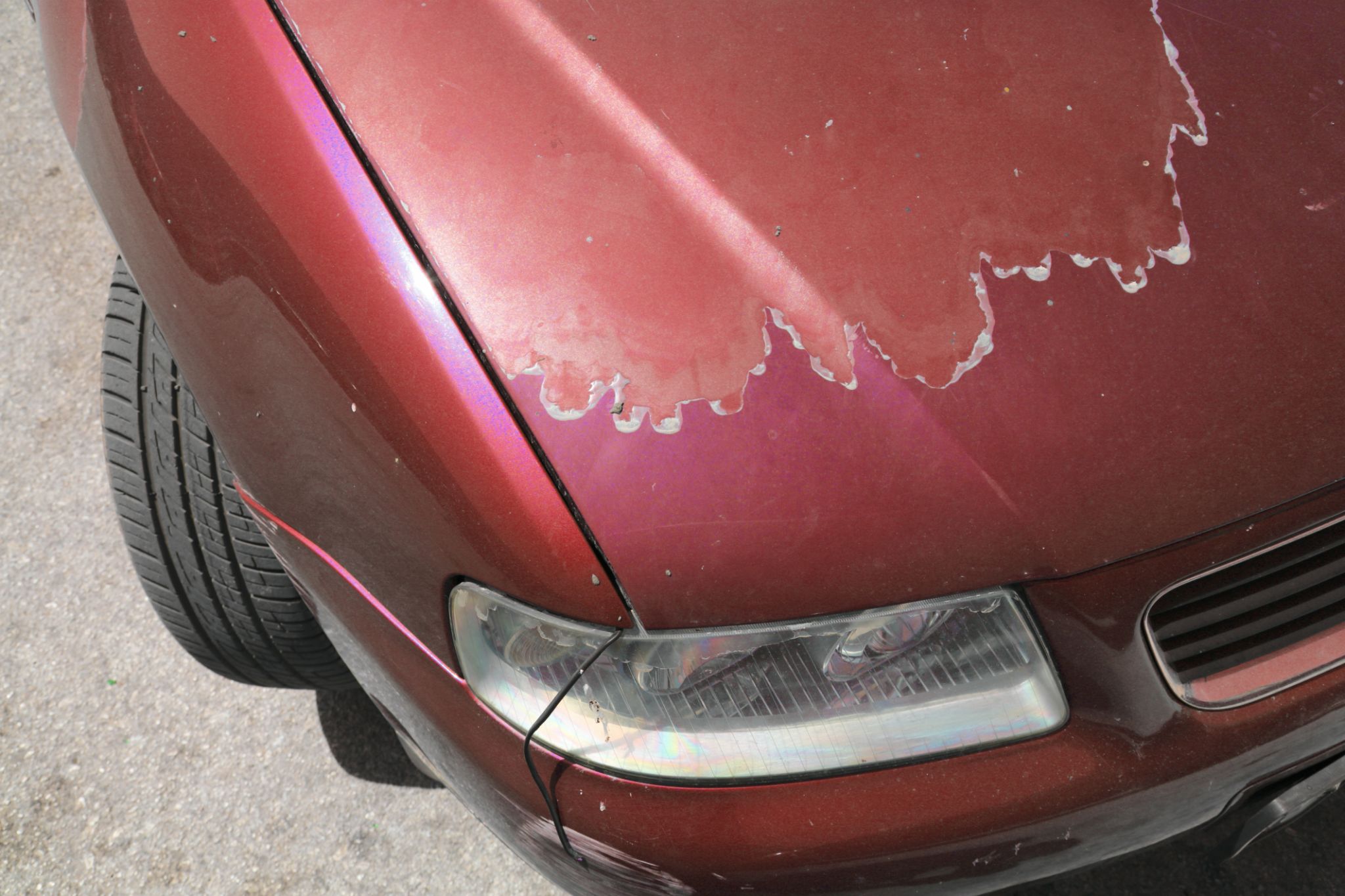 car paint damage