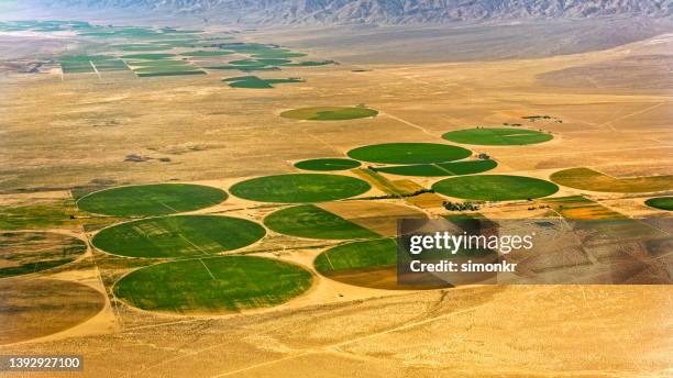 crop circles in a desert - graancirkel stockfoto's en -beelden