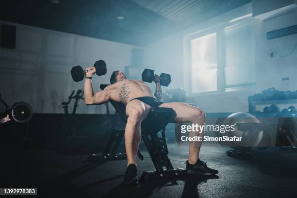 young athlete doing strength training with dumbbells on bench at gym - bench dedication stock pictures, royalty-free photos & images