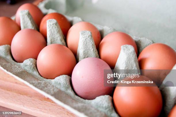 eggs - salmonellen stock-fotos und bilder