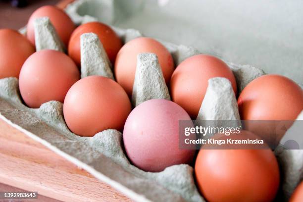 eggs - salmonelosis fotografías e imágenes de stock