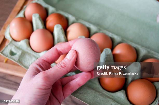 eggs - salmonellen stock-fotos und bilder