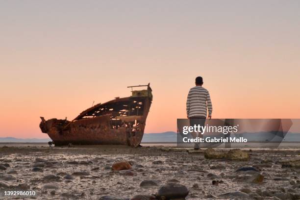 rear view of man walking towards janie seddon shipwreck - abandoned boat stock pictures, royalty-free photos & images