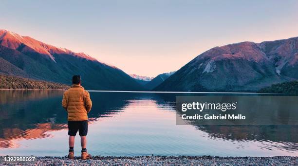 rear view of man standing in front of lake rotoiti - nelson stock pictures, royalty-free photos & images