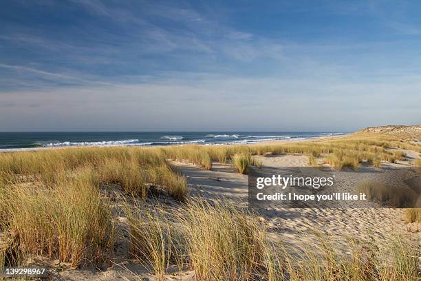 atlantic coast and cap ferret - france beach stock pictures, royalty-free photos & images