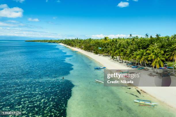 aerial view of a beautiful beach on siquijor island philippines - siquijor islands stock pictures, royalty-free photos & images