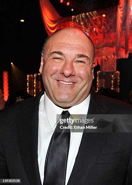 Actor James Gandolfini attends the Keep Memory Alive foundation's "Power of Love Gala" celebrating Muhammad Ali's 70th birthday at the MGM Grand...