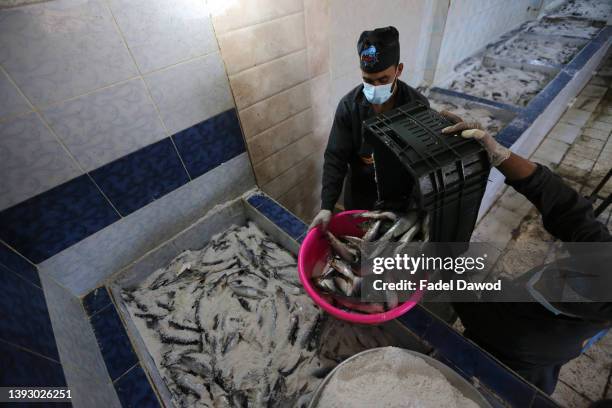 Spring Festive Fish 501 Holy Fish Festival Stock Photos, High-Res Pictures, and Images ...