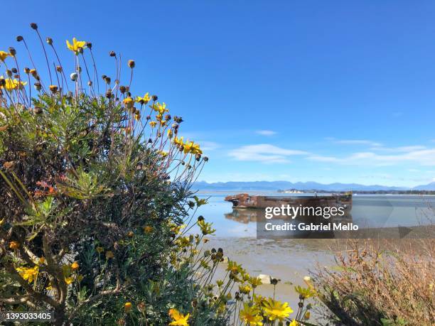 janie seddon shipwreck in motueka - tasman district new zealand stock pictures, royalty-free photos & images