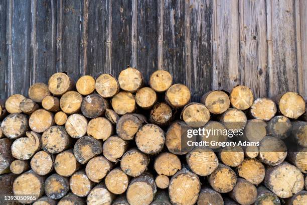 stacked firewood - houtstapel stockfoto's en -beelden