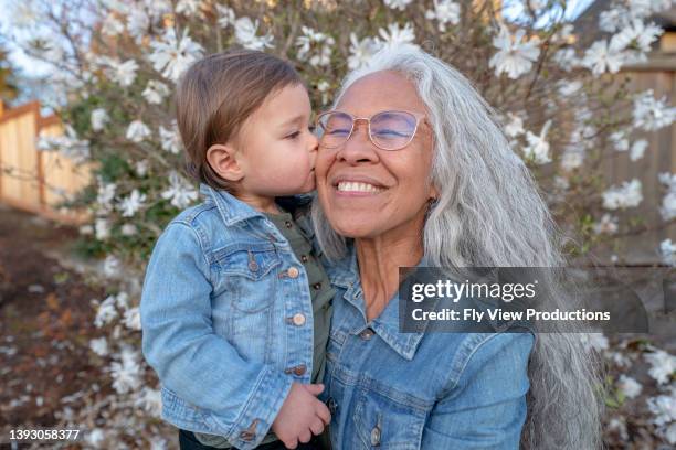 adorable niño pequeño dándole un beso a su abuela - friends kissing cheeks fotografías e imágenes de stock