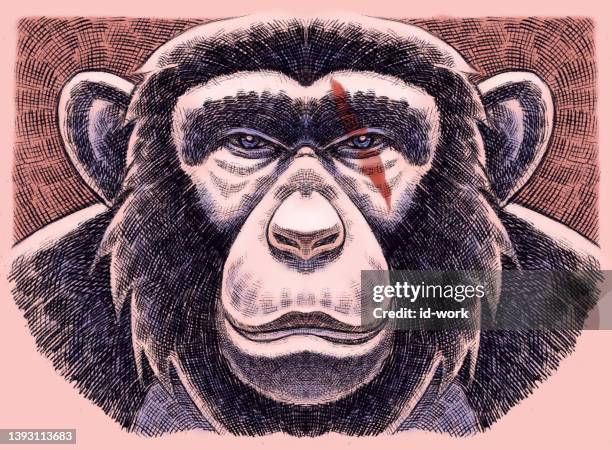 illustrations, cliparts, dessins animés et icônes de chimpanzé head - chimpanzee aggression
