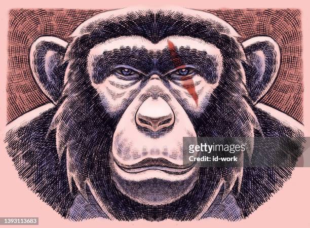 chimpanzee head - angry monkey stock illustrations