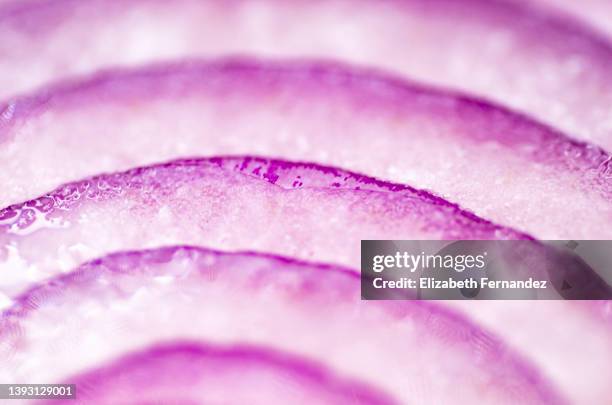 half purple onion full frame shot - cutting red onion stock pictures, royalty-free photos & images