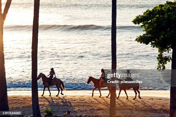 três cavalos e cavaleiros ao pôr do sol, praia do tamarindo, guanacaste, costa rica. - playa tamarindo - fotografias e filmes do acervo