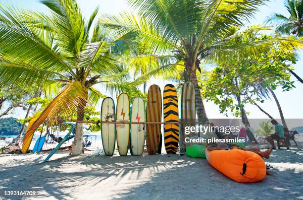 surf board selection, manuel antonio beach, costa rica. - costa rica stock pictures, royalty-free photos & images