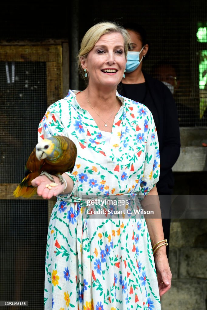 The Earl and Countess of Wessex Visit The Caribbean - Day Two
