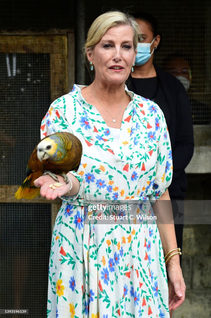 The Earl and Countess of Wessex Visit The Caribbean - Day Two