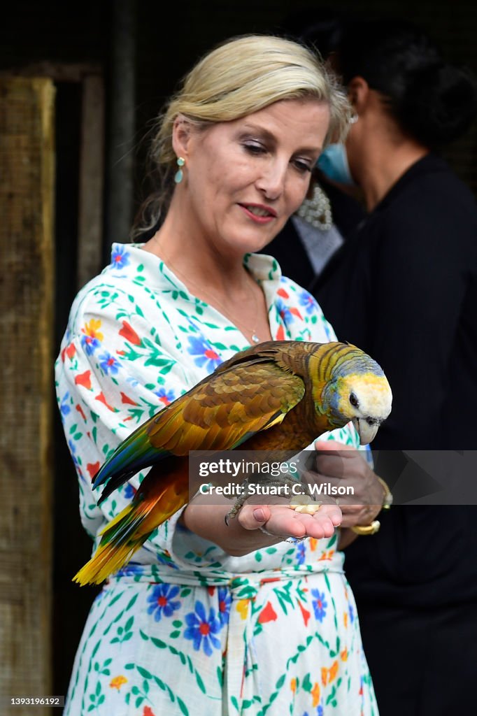 The Earl and Countess of Wessex Visit The Caribbean - Day Two