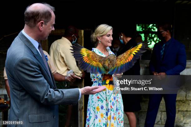 Prince Edward, Earl of Wessex and Sophie, Countess of Wessex handle a parrot at Government House on April 23, 2022 in Kingstown, Saint Vincent and...