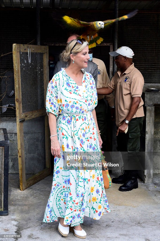 The Earl and Countess of Wessex Visit The Caribbean - Day Two