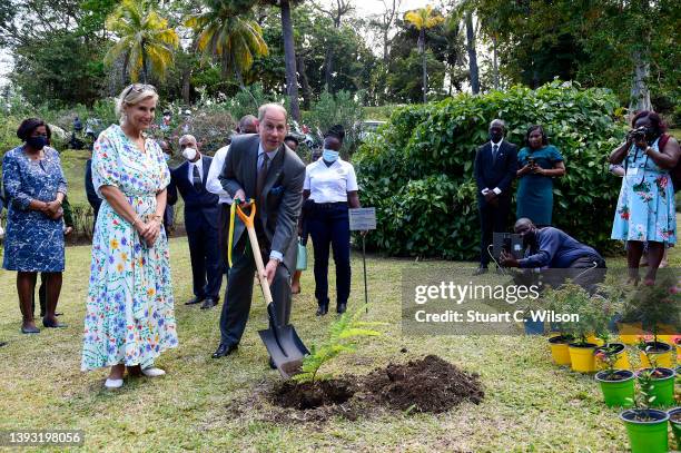 Sophie, Countess of Wessex and Prince Edward, Earl of Wessex plant a tree at The Botanical Gardens on April 23, 2022 in Kingstown, Saint Vincent and...