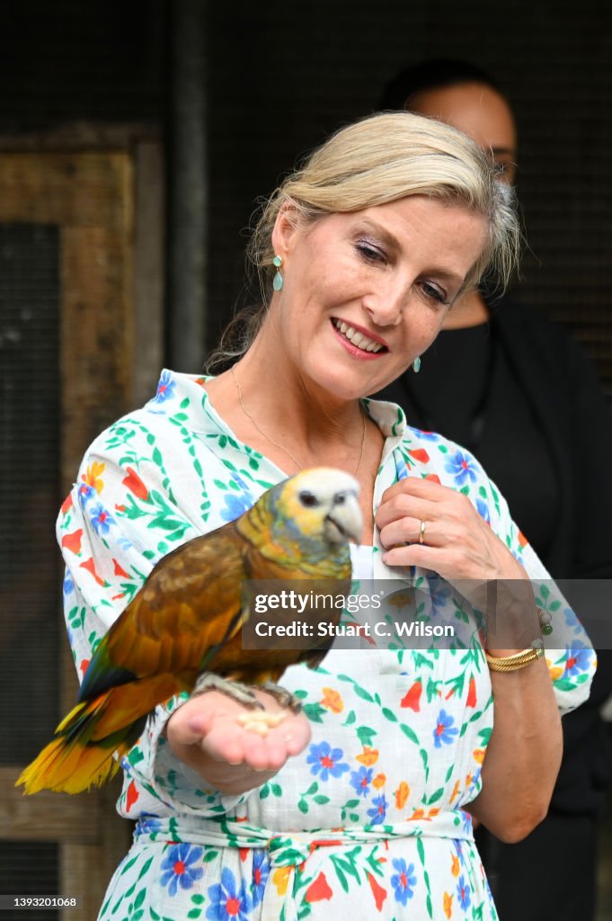 The Earl and Countess of Wessex Visit The Caribbean - Day Two