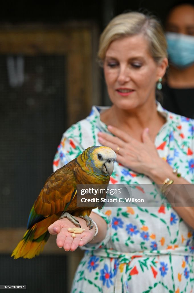 The Earl and Countess of Wessex Visit The Caribbean - Day Two