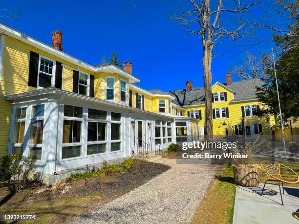 Yellow Inn Blue Tree (Boutique) Photos and Premium High Res Pictures - Getty Images