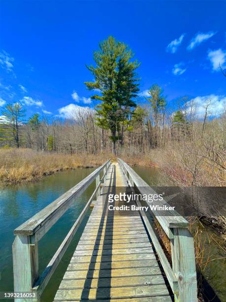 wood walkway over lake, lenox - lenox massachusetts stock pictures, royalty-free photos & images