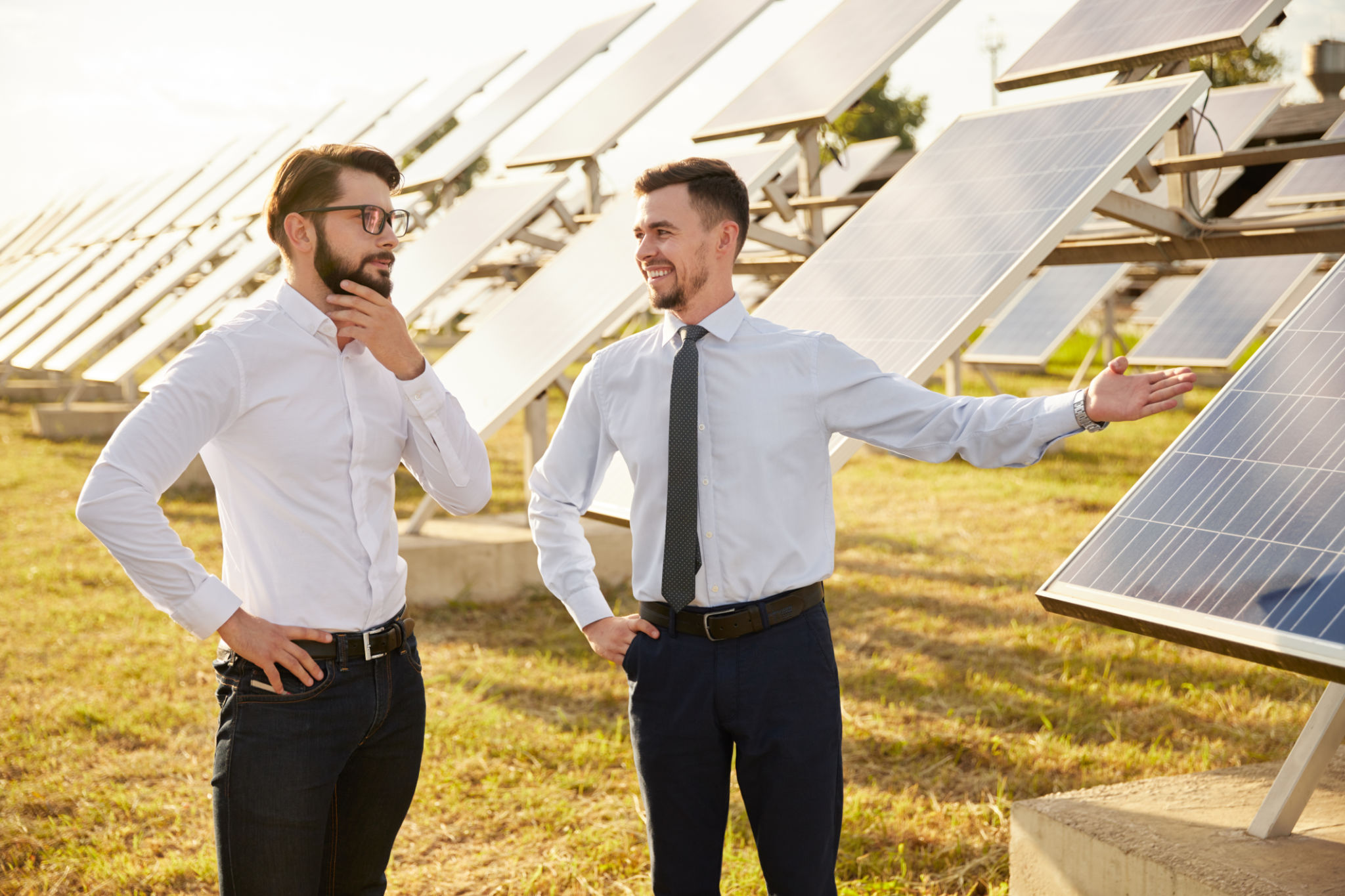solar energy decision making
