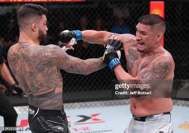 Tyson Roper Australian Ike Tyson Photos and Premium High Res Pictures - Getty Images