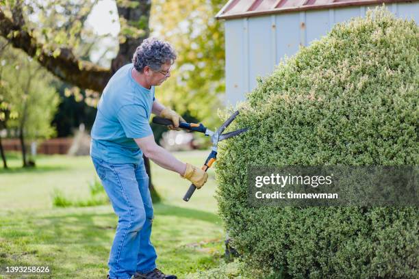 Man Trimming Bush Photos and Premium High Res Pictures - Getty Images