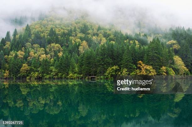 beauty in nature at jiuzhaigou valley national park - jiuzhaigou imagens e fotografias de stock