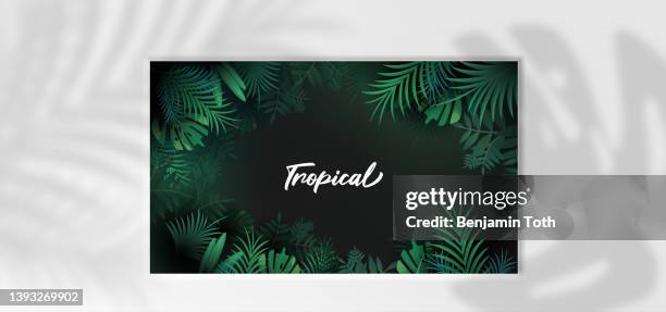 tropical poster with palm leaves - motif tropical 幅插畫檔、美工圖案、卡通及圖標