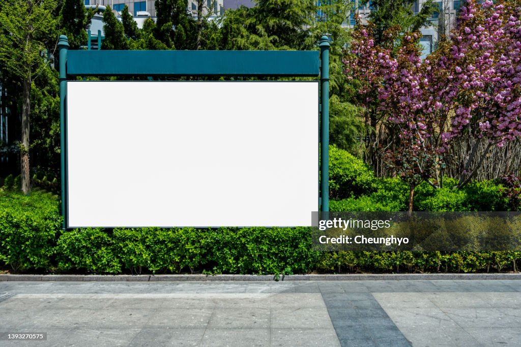 Blank Billboard in front of Empty Street