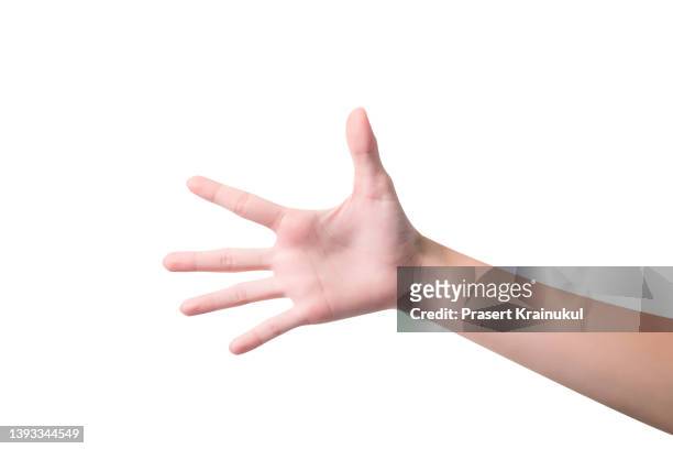 empty palm hand isolated on white background - woman thumb stock pictures, royalty-free photos & images