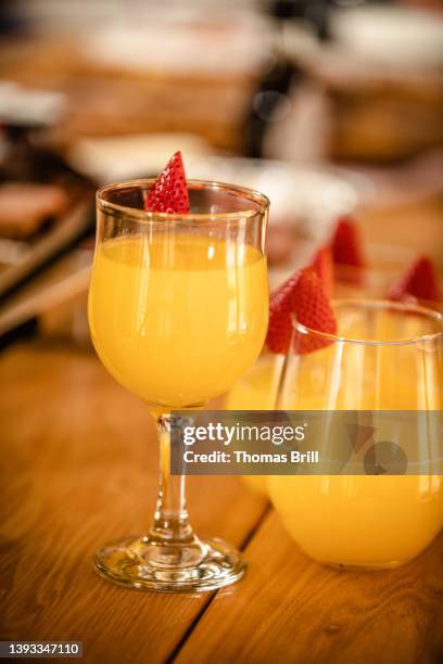 mimosas - mimosa bildbanksfoton och bilder