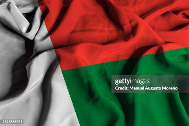 flag of madagascar - madagascar photos et images de collection