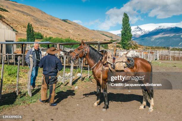 two people are standing on a farm talking to each other. one person, a gaucho, is standing next to a brown horse and is holding it by the rein - santa cruz province argentina stock pictures, royalty-free photos & images