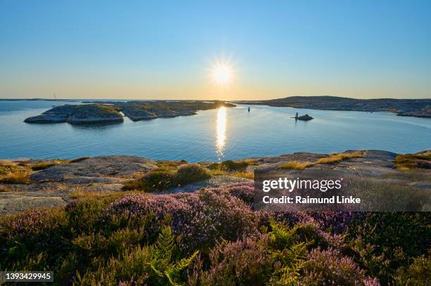 sunset on the stone coast, kungshamn, skagerrak, bohuslän, västra götalands län, vastra gotaland, sweden - västra usa fotografías e imágenes de stock