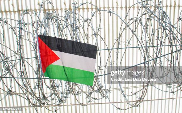 palestine flag on barbed wire - palestinian territories stock pictures, royalty-free photos & images