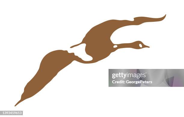 canada goose flying - lake logo stock illustrations