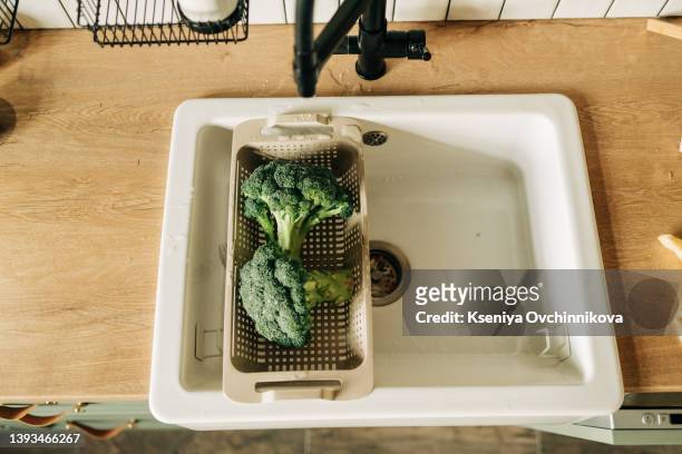 woman washing fresh broccoli in colander over sink, closeup - broccoli white background stock pictures, royalty-free photos & images