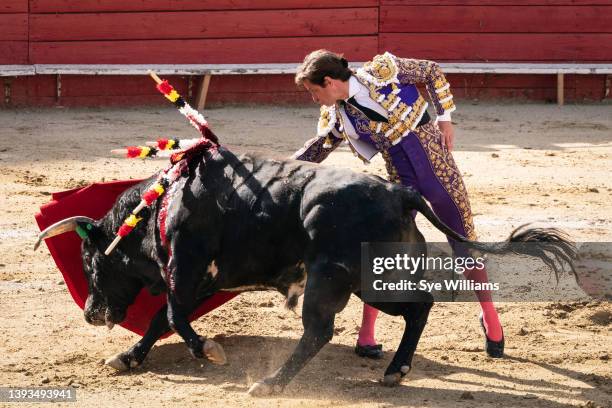 Julian "El Julio" Lopez fights a bull during Gran Corrida De Toros at the Plaza Monumental Playas de Tijuana on April 24, 2022 in Tijuana, Mexico. In...