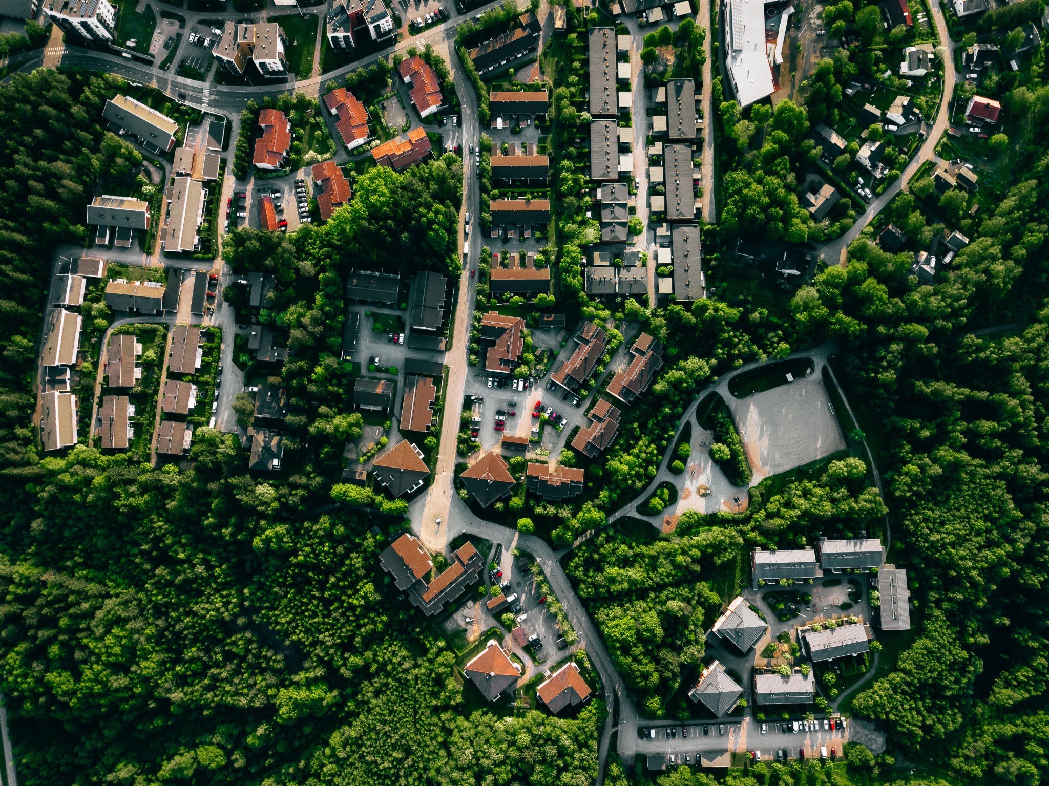 urban forest