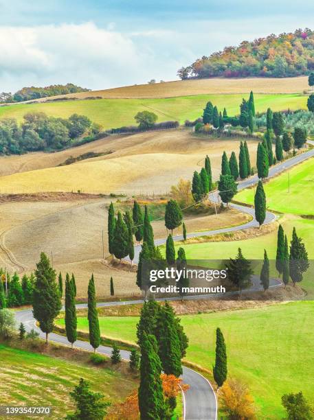 kurvenreiche straße mit zypressen in der toskana, italien - toscana stock-fotos und bilder