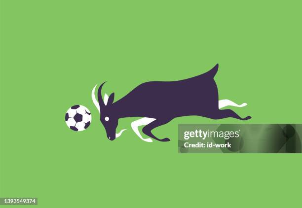 ilustrações, clipart, desenhos animados e ícones de cabra cabeceando bola de futebol - funny football cartoons
