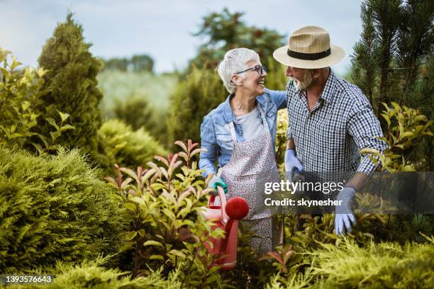 happy mature couple gardening their backyard in spring day. - senior adult gardening stock pictures, royalty-free photos & images