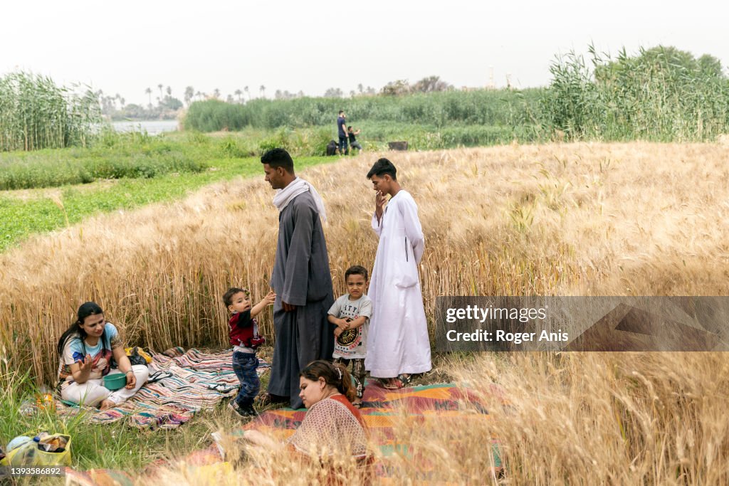Egypt Spring Coptic Christian families celebrate the Spring Festival known as Sham ...